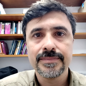 Flavio_Codeco_Coelho